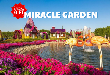 Vườn hoa Miracle – vẻ đẹp diệu kỳ giữa lòng Dubai