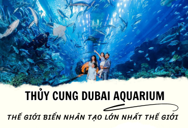 Thủy cung Dubai Aquarium – Thế giới biển nhân tạo lớn nhất