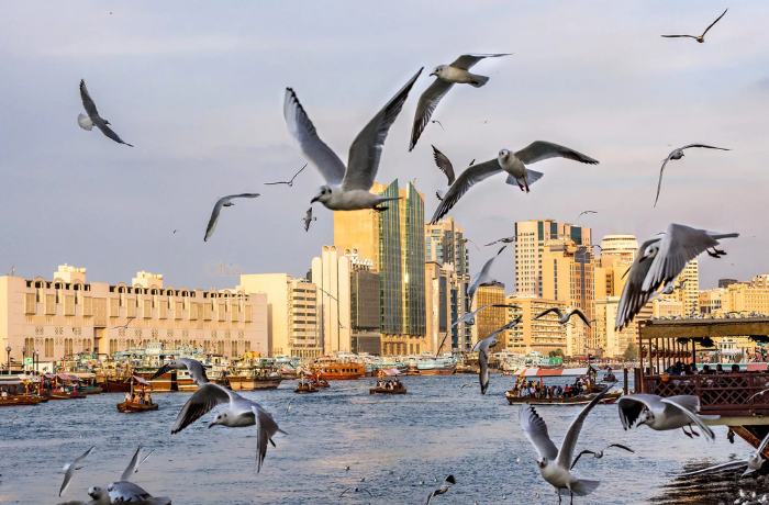 Deira Corniche – Dải phố ven biển cổ điển