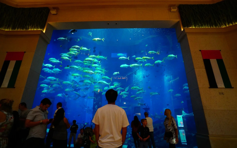 Đảo nhân tạo Palm Jumeira – Kỳ quan thứ 8 của thế giới - vivudubai.vn